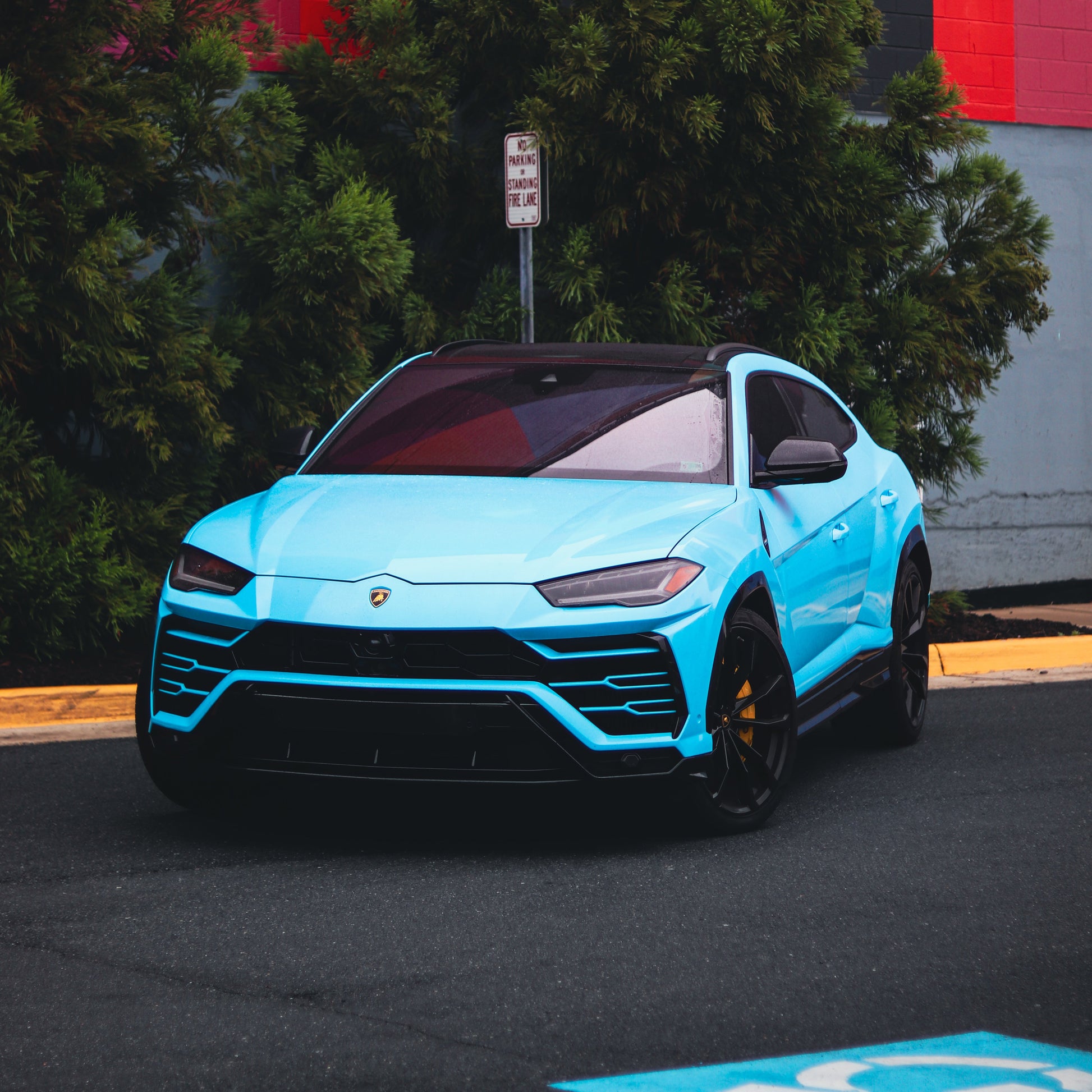 Lamborghini Urus Baby Blue (w/ Starlights)