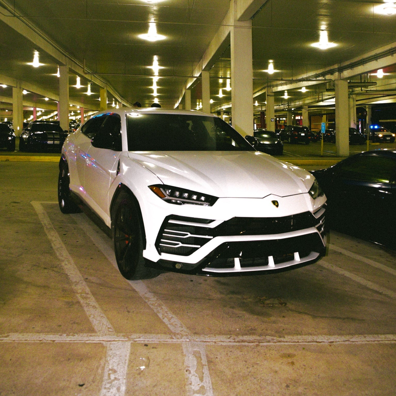 Lamborghini Urus (w/ Starlights)
