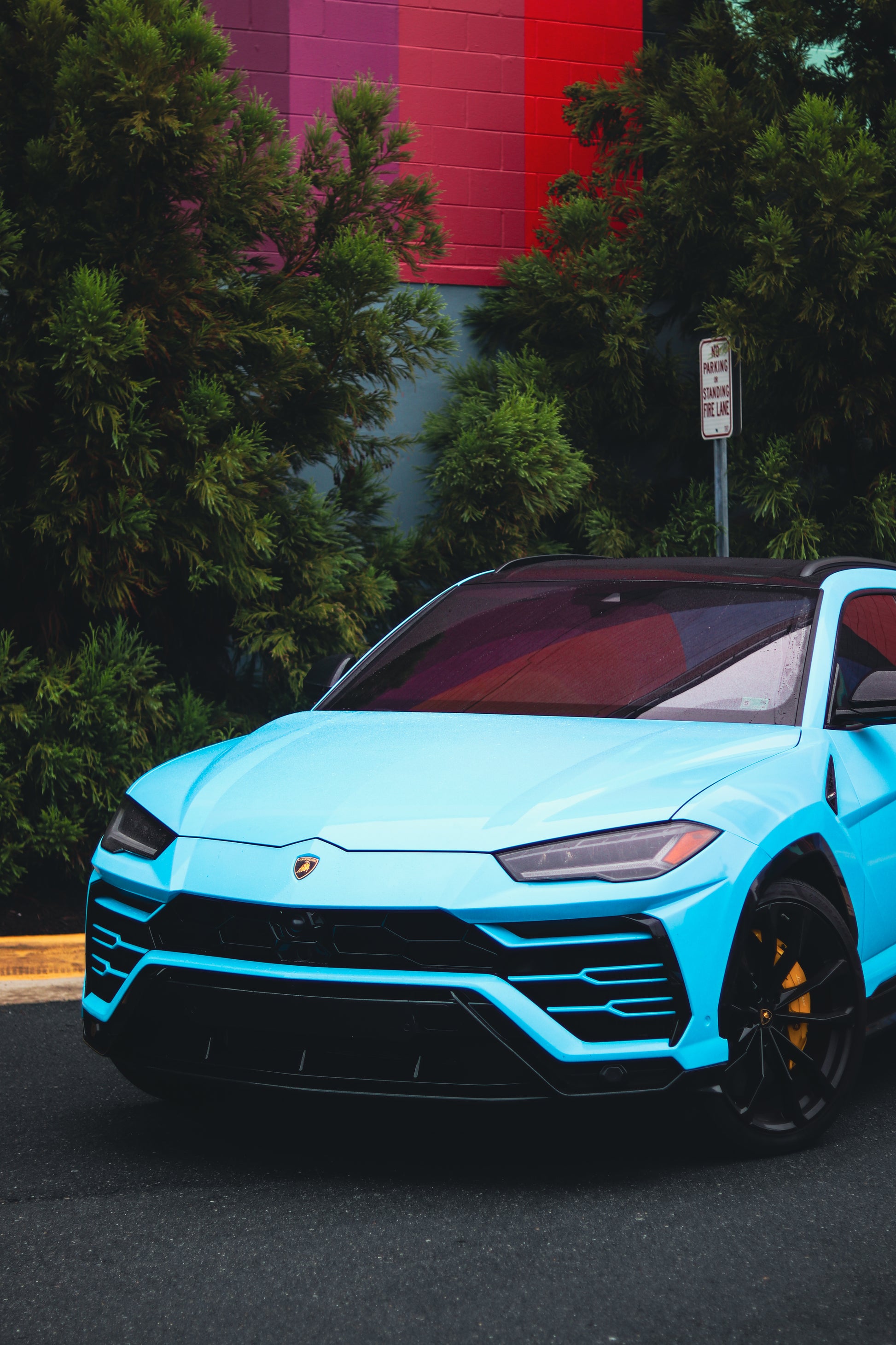 Lamborghini Urus Baby Blue (w/ Starlights)