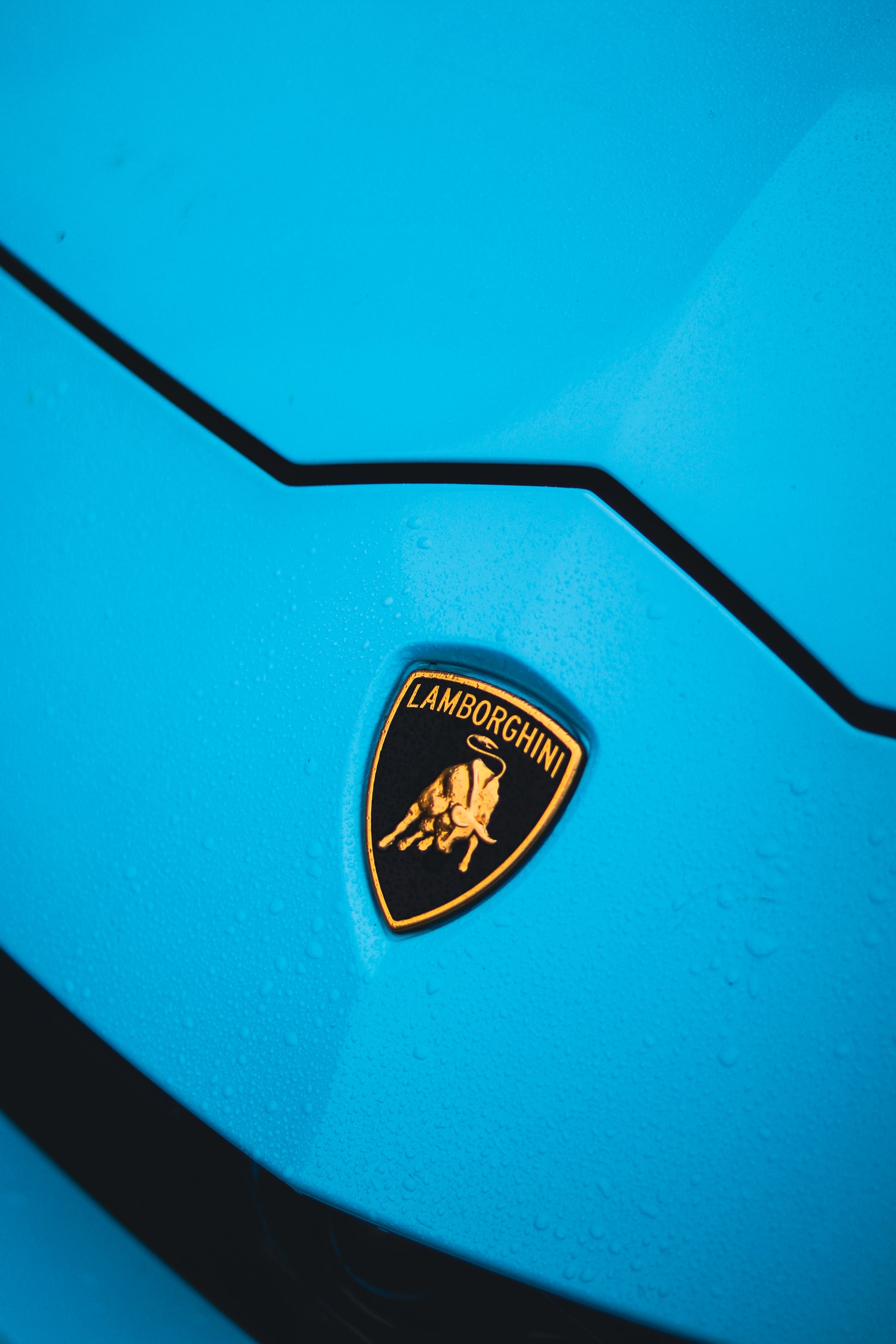 Lamborghini Urus Baby Blue (w/ Starlights)