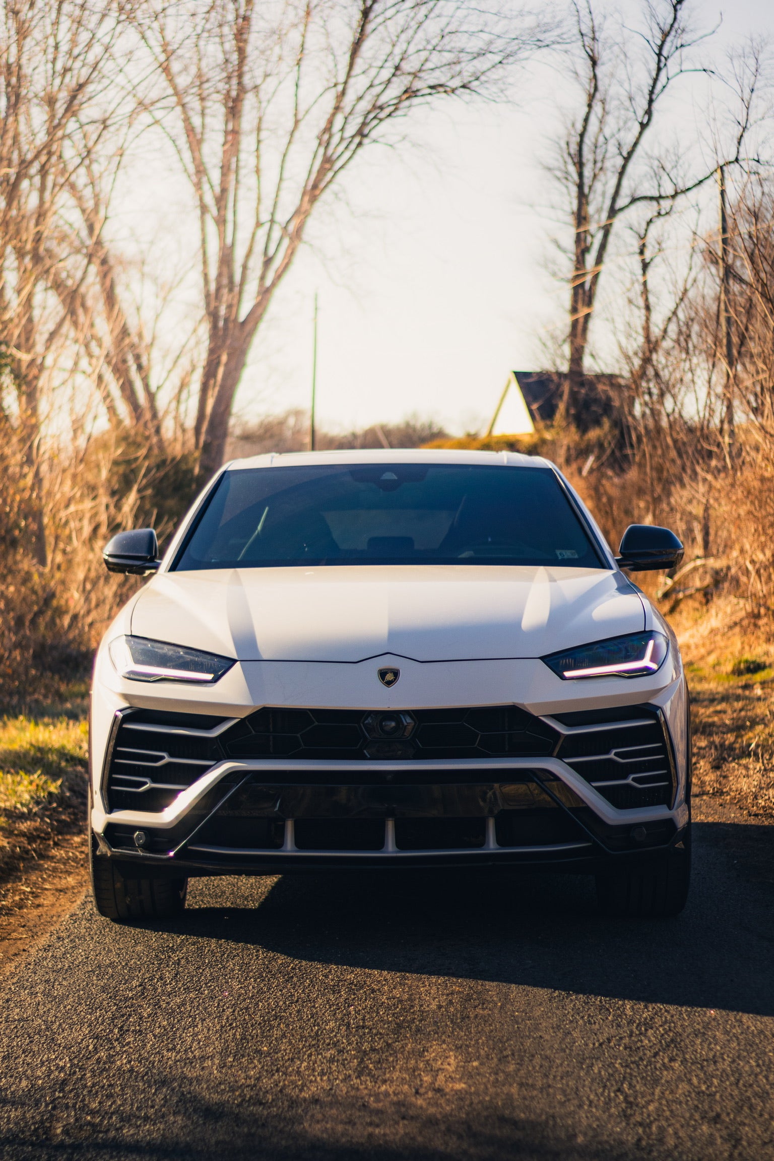 Lamborghini Urus (w/ Starlights)